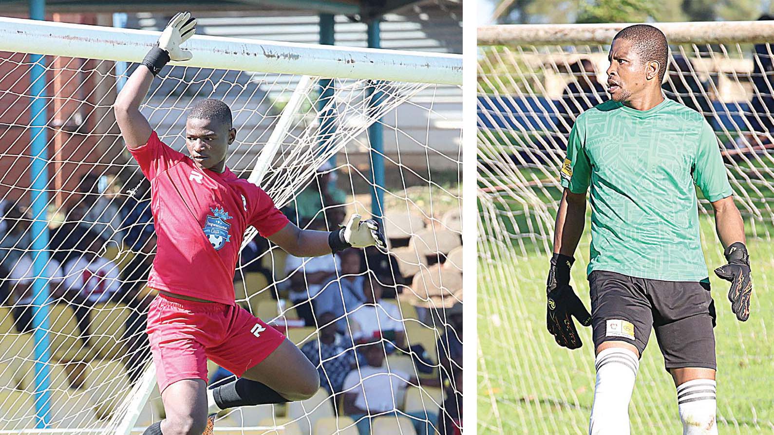 Goalkeeper crisis hits high-flying Sea Birds